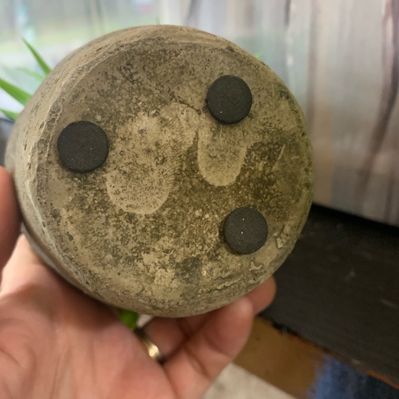 Set of Two Artificial Plants in Ceramic Pots. Grass or Lilly - Picture 7 of 8